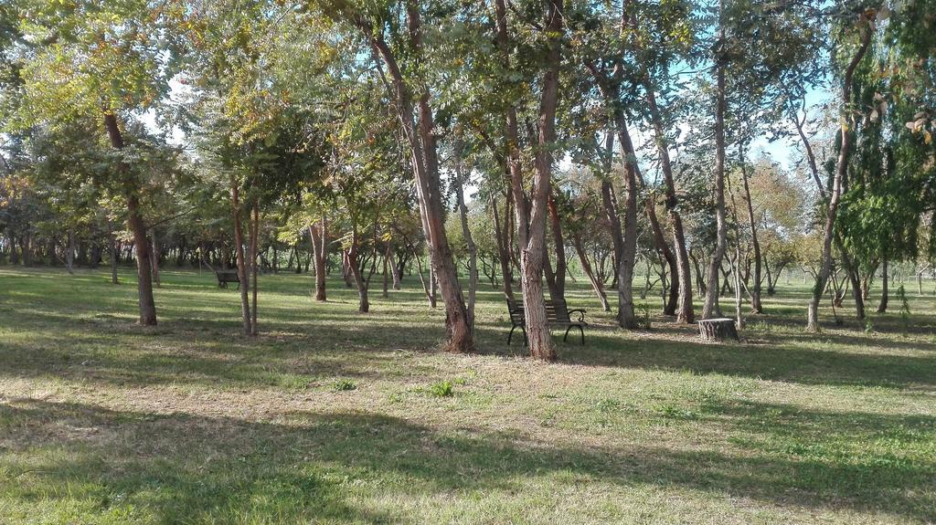 Agriturismo Lupo Cerrino Tarquinia Buitenkant foto